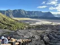 D2-2-Bromo-horse-02