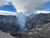 D2-2-Bromo-horse-03