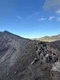 D2-2-Bromo-horse-04
