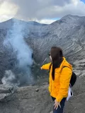 D2-2-Bromo-horse-06
