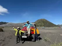 D2-2-Bromo-horse-07