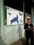 講解