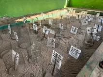 2025-04-26-2025-05-03印尼雙火山海龜之旅-1-of-4