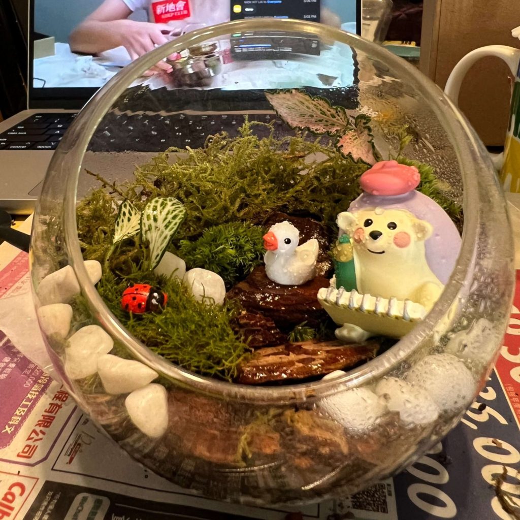 苔蘚盆栽DIY工作坊